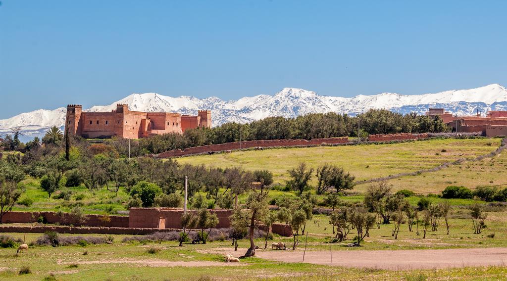 Riad Sougtani Tazrou المظهر الخارجي الصورة